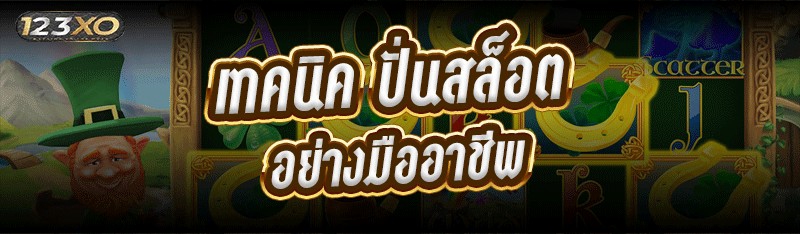 เทคนิค ปั่นสล็อต อย่างมืออาชีพ